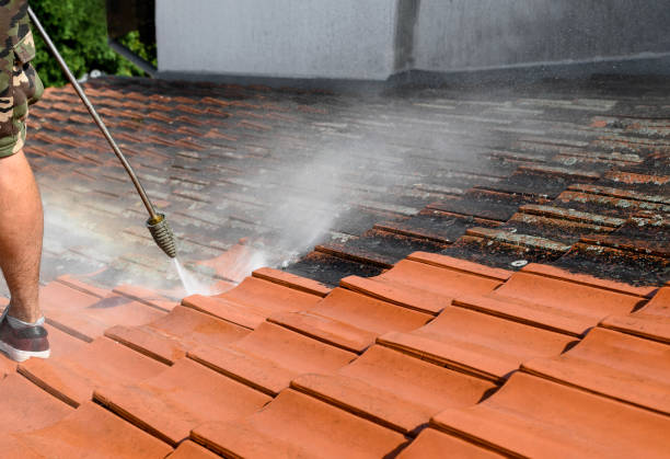 Best Sidewalk Pressure Washing  in Decatur, IL