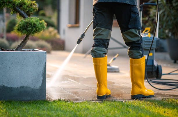 Best Exterior Home Cleaning  in Decatur, IL